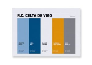 Real Club Celta de Vigo